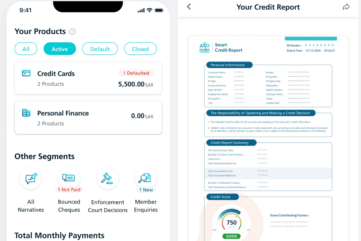 SIMAH MOLIM Credit Report